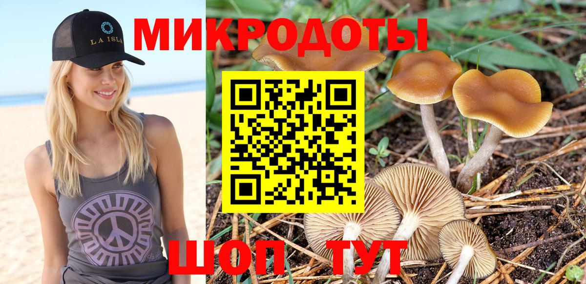 Касимов  Галлюциногенные грибы Psilocybe  как найти наркотики  Вход с VPN 