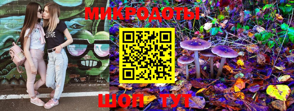 Псилоцибиновые грибы Psilocybe Касимов